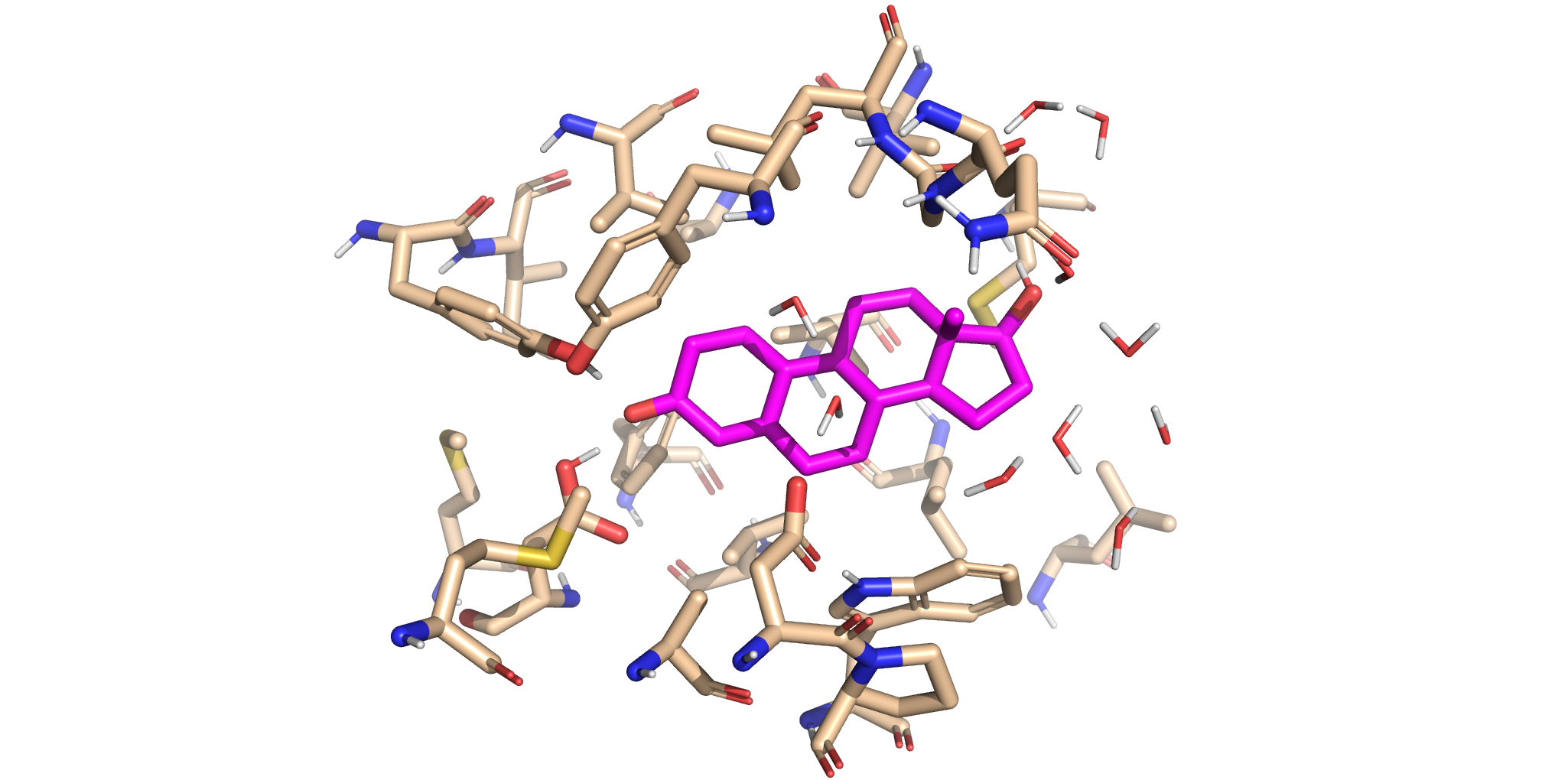 cb64dc1a04a345a7967dc2479e6f6e5c